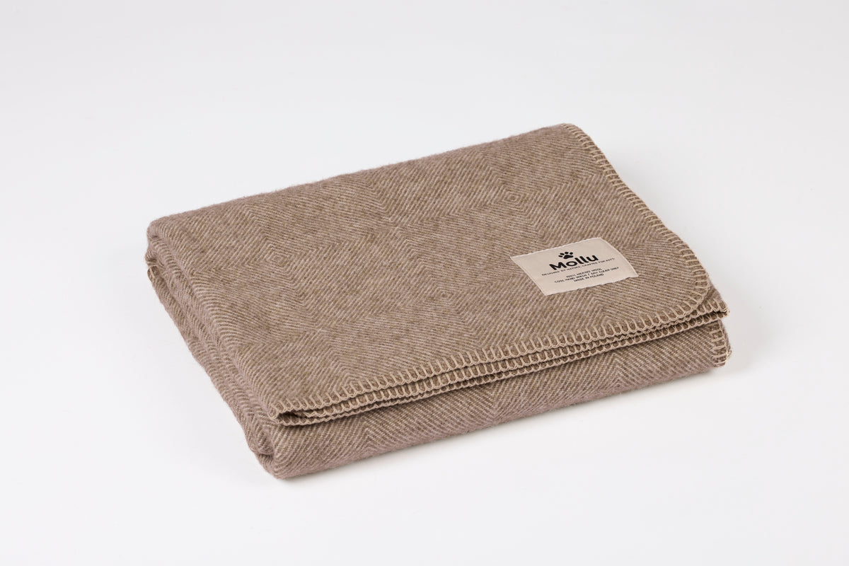 Coperta in pura lana merino per il tuo animale – marrone con profilo beige