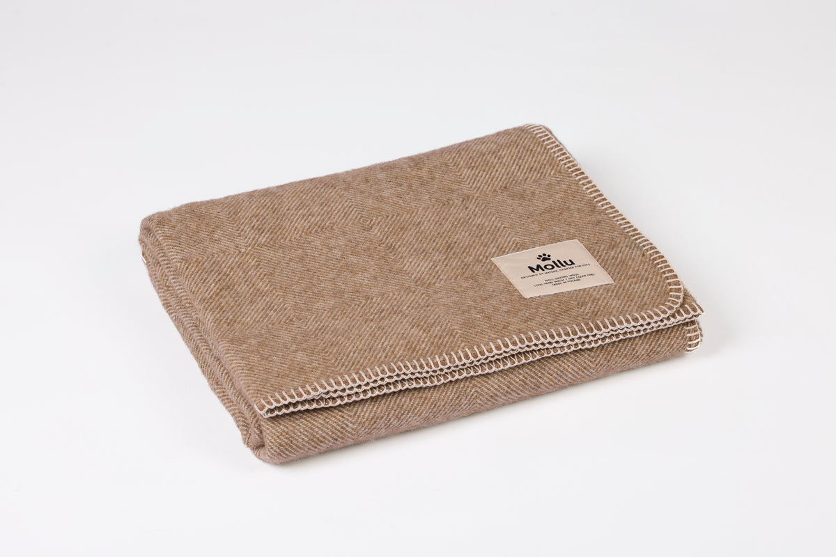 Coperta in pura lana merino per il tuo animale – marrone con profilo cremoso
