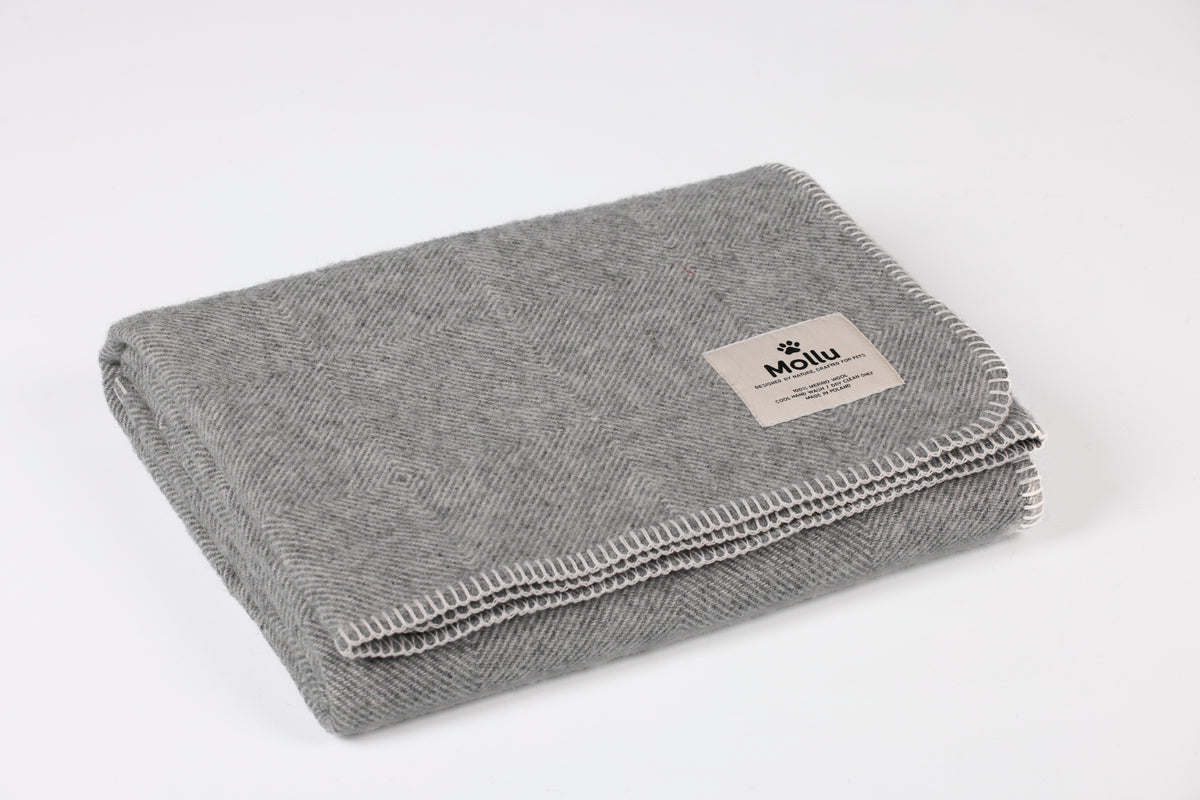 100% pure merino Wool Blanket for Your Pet - grey with cream trim